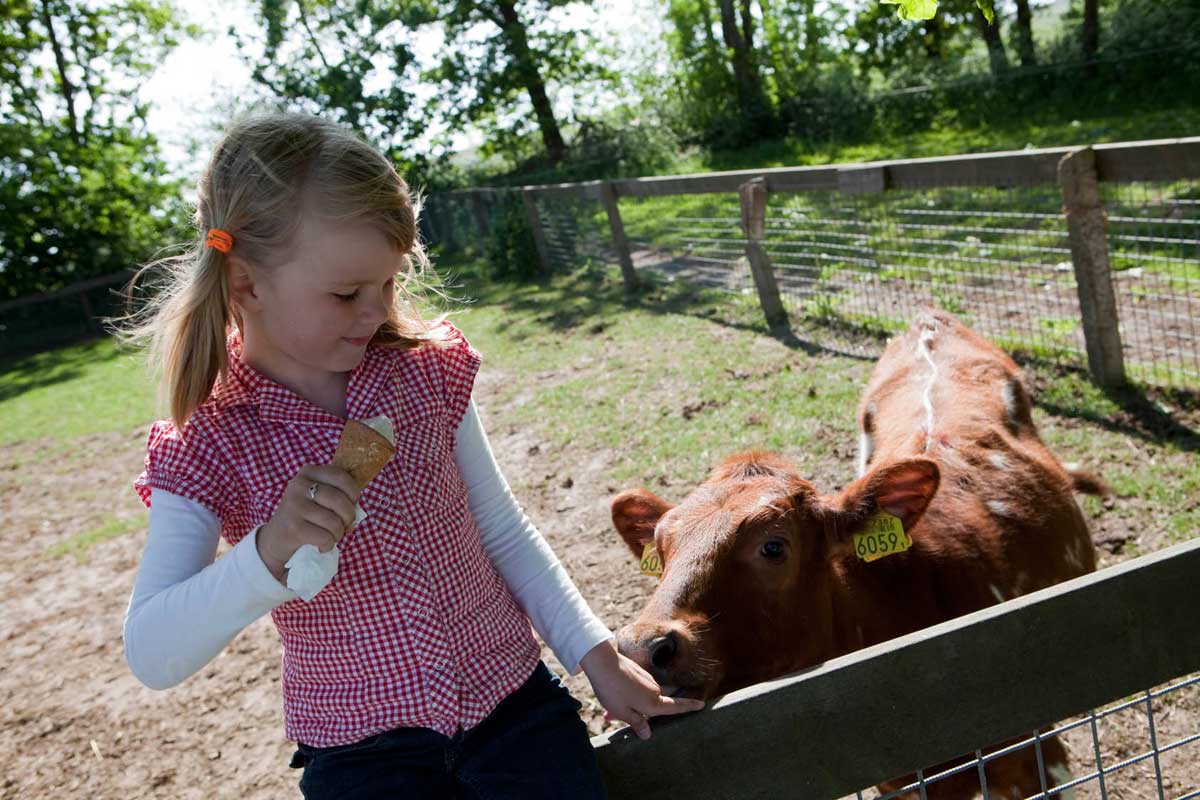 Boeren excursie